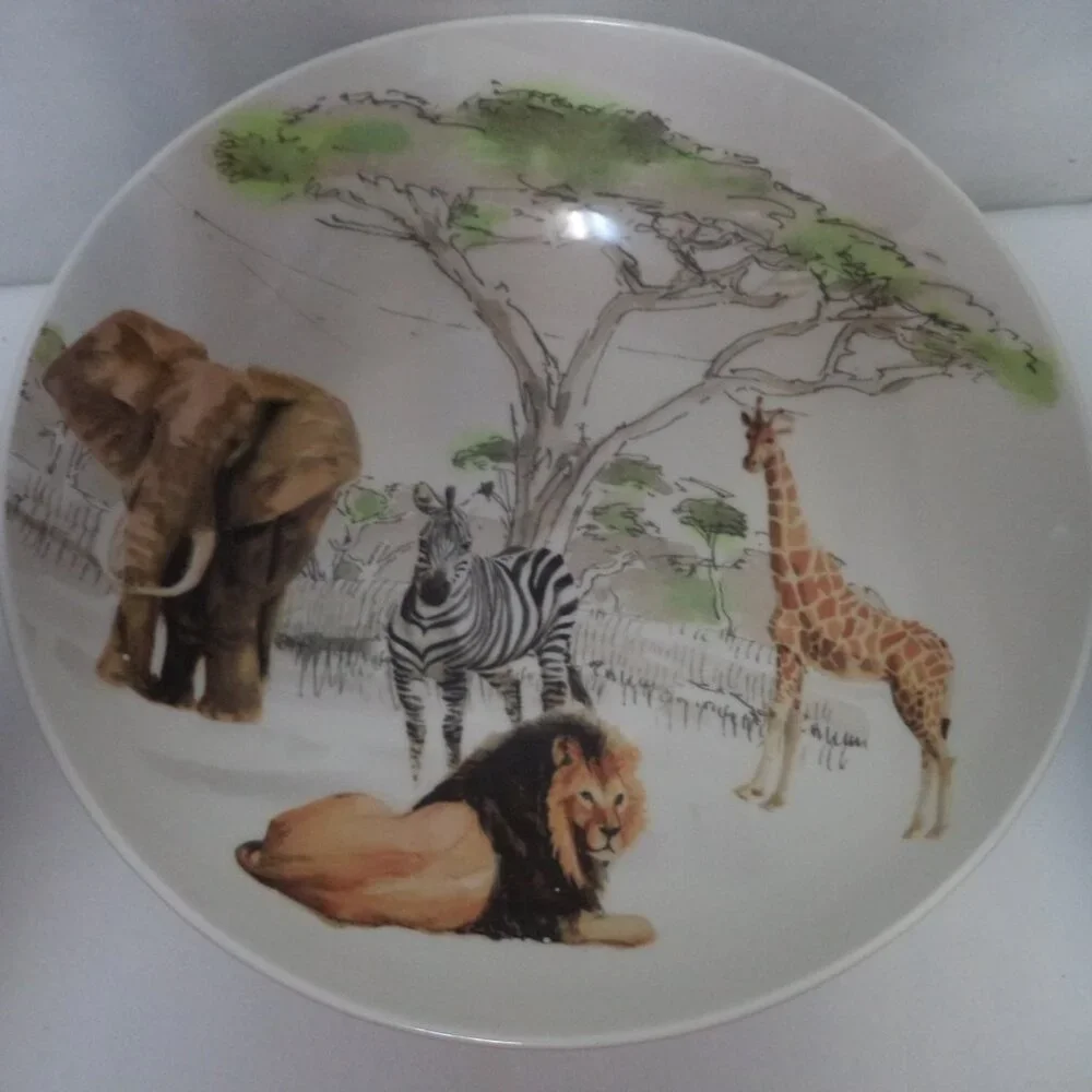 Pier 1 Africa Vintage Hand Painted Earthenware Serving Pasta Bowl Italy 3